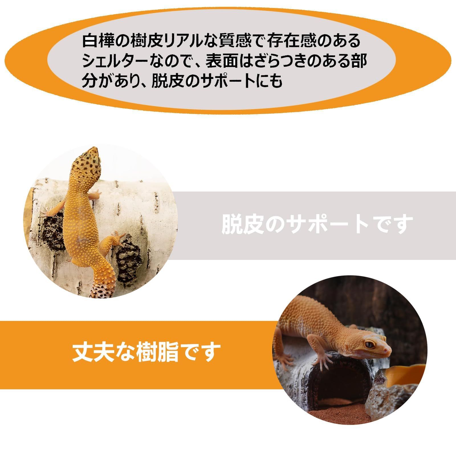 アイシェルター まとめ売り おまけつき 爬虫類 i Shelter アイシェルター 最高級美濃焼ペット用シェルター