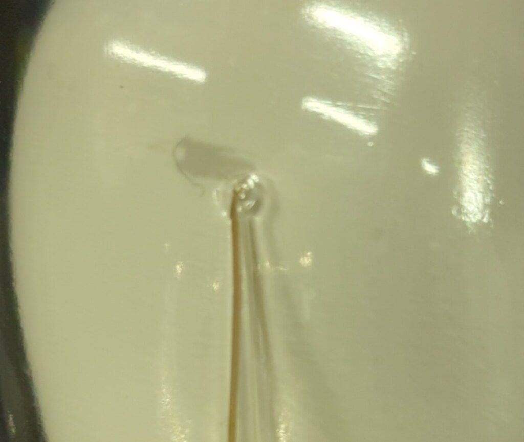 LIBERTYTOKYO APOLIGHTYEAR 1st COLOR - メルカリ