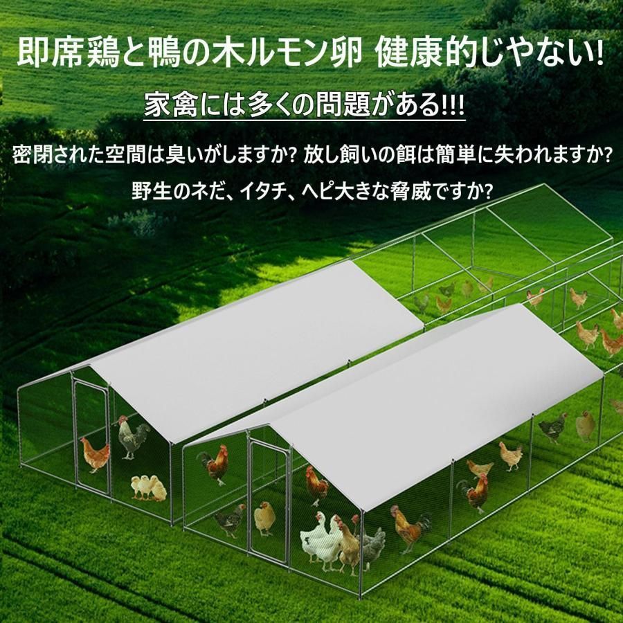鶏舎 農場用