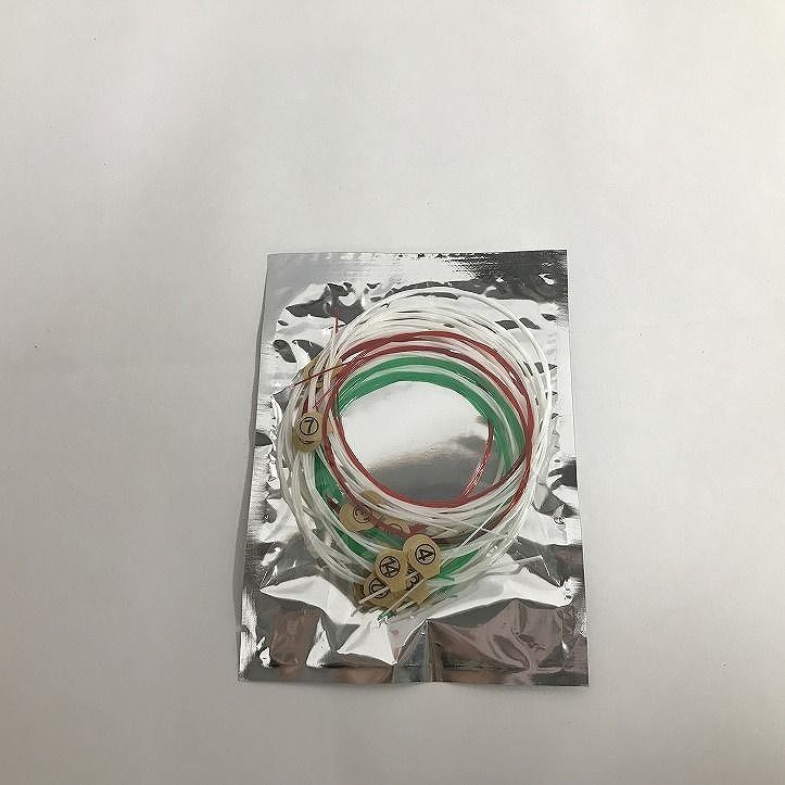 弦楽器 15弦