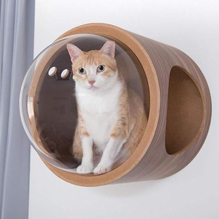 キャットタワー 猫 キャットハウス 宇宙カプセル キャットドーム ペット かわいい 幻想的 モダン おしゃれ 壁掛け 床で利用 木製