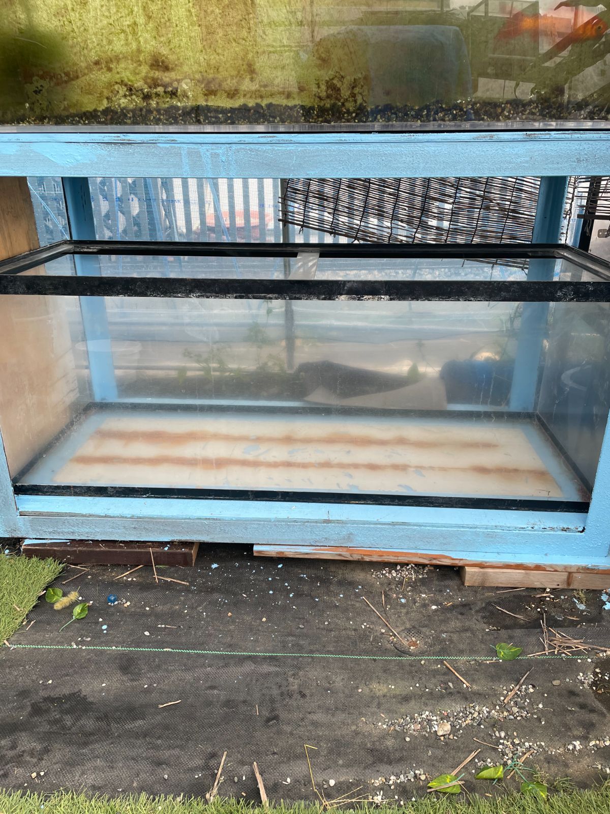 引取り 大型アクリル水槽 120CM水槽