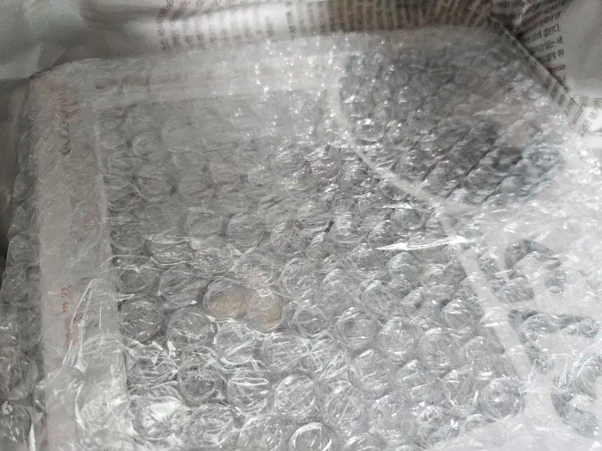 ねんどろいど エレン