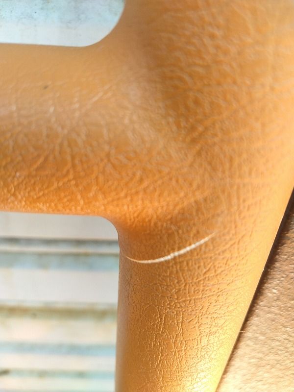 モルテンルーツ