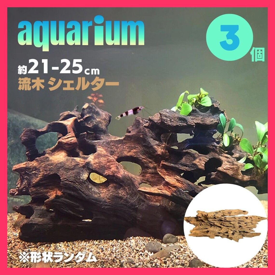 100本以上熊本県産 バイカモ 梅花藻 稀少な日本の水草【アナカリス も