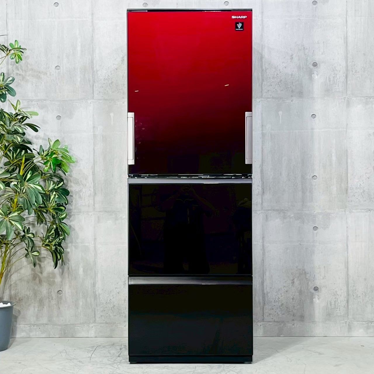 ️SHARP a4153 3ドア冷蔵庫 350L 2021年製 40 ️
