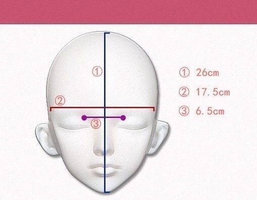 ハーフマスク 眼球付き カツラ付き NO.115 樹脂製 ヘッドロリータ人形  