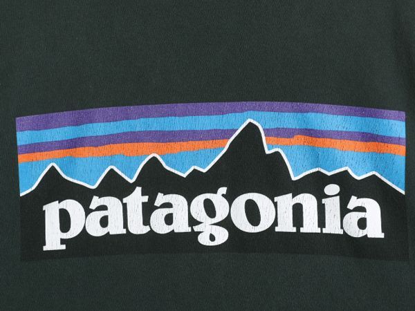 お得なクーポン配布中!】 18年製 パタゴニア 両面 プリント 長袖 Tシャツ メンズ L / Patagonia アウトドア ロンT フィッツロイ  P6 バックプリント ロングスリーブ - メルカリ