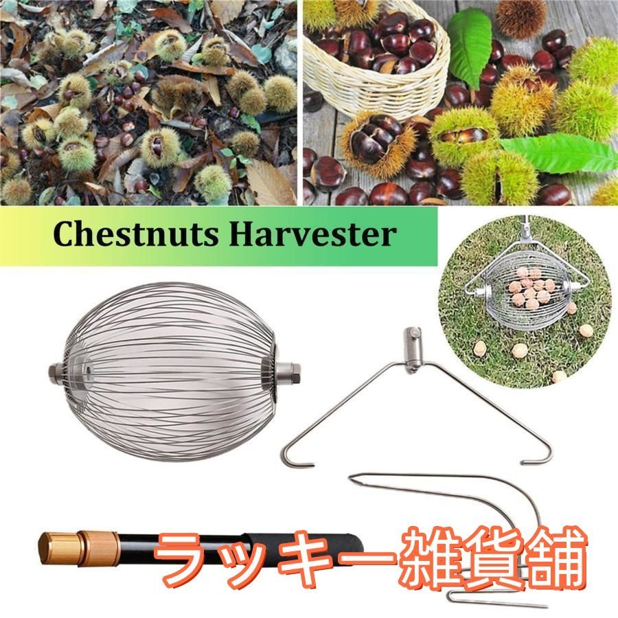 ♥ナットギャザラーローラー