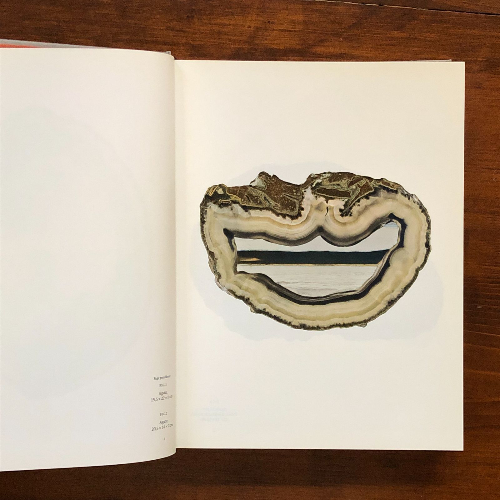 ロジェ・カイヨワ 作品集 ROGER CAILLOIS: LA LECTURE DES