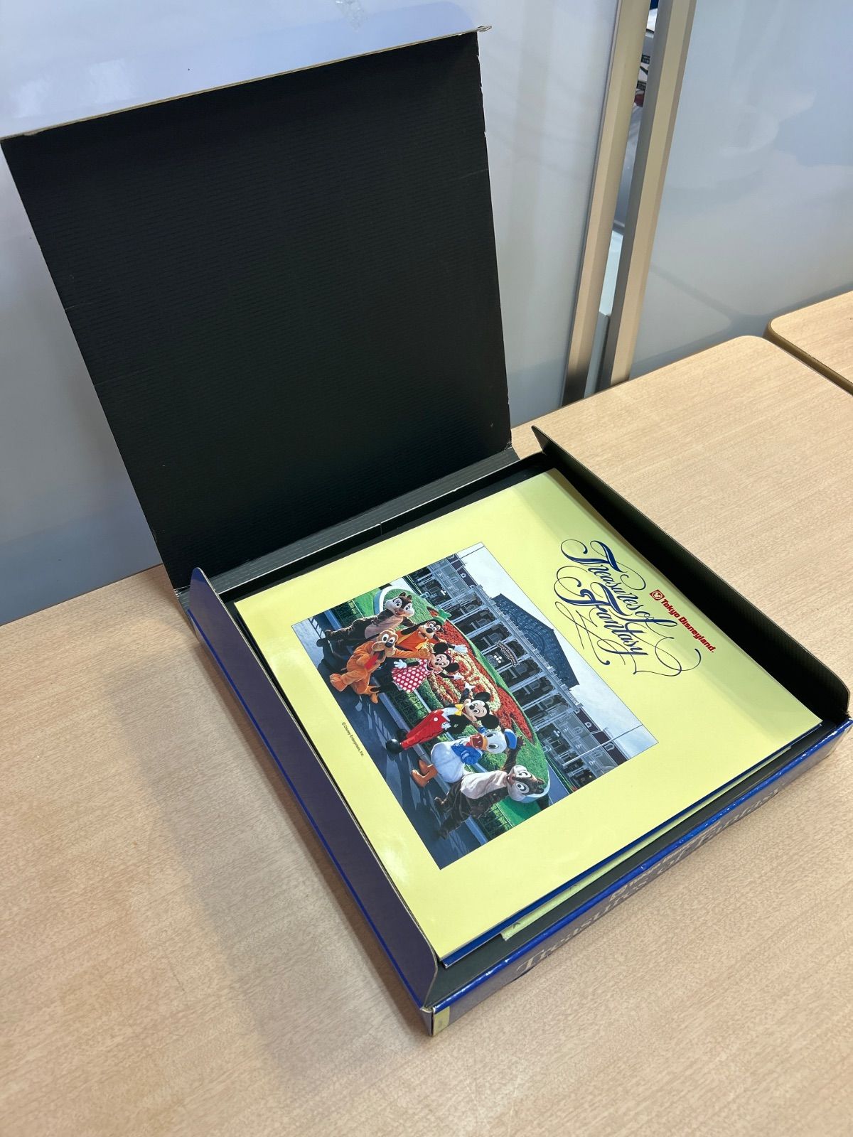 中古 激レア✨10枚組】東京ディズニーランド Treasures of Fantasy CD