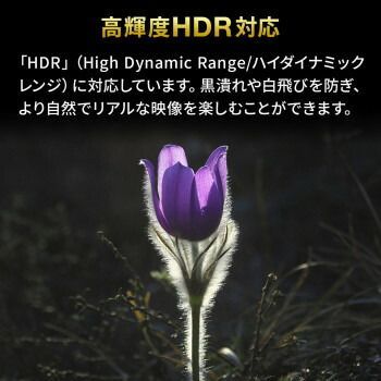 サンワサプライ 4K