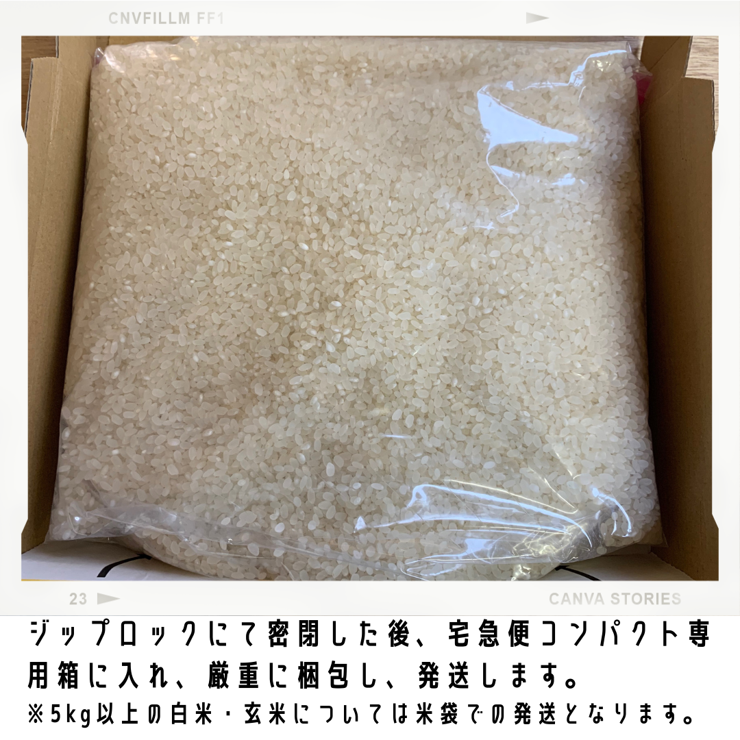 クーポン対象外】 令和4年産 北海道米 新米 おぼろづき 20キロ 一等米