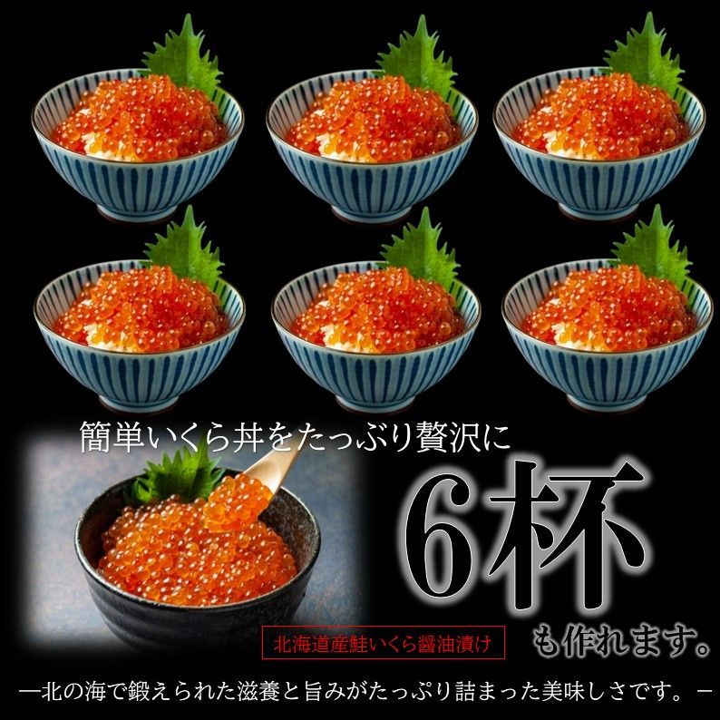 2024年新物 北海道産 いくら醤油漬け 500g (250g×2) 鮭卵 1級品