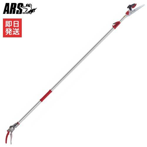犬用品 セレクトショップote イタリア製 【not too pet ™】首輪