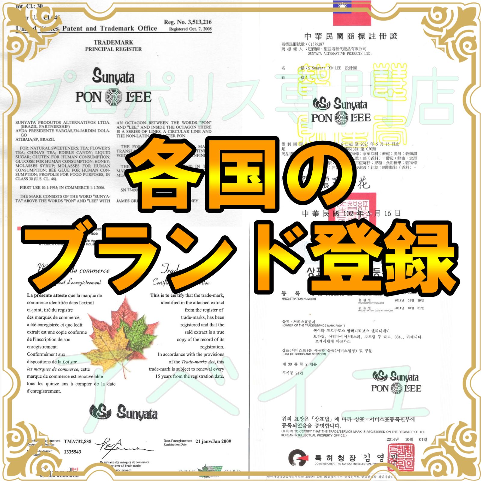 日本語説明書付き