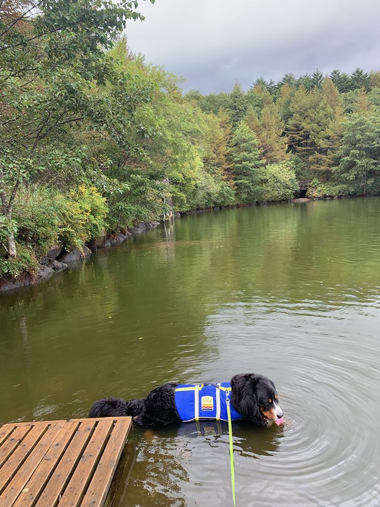 ライフジャケット ジャケット