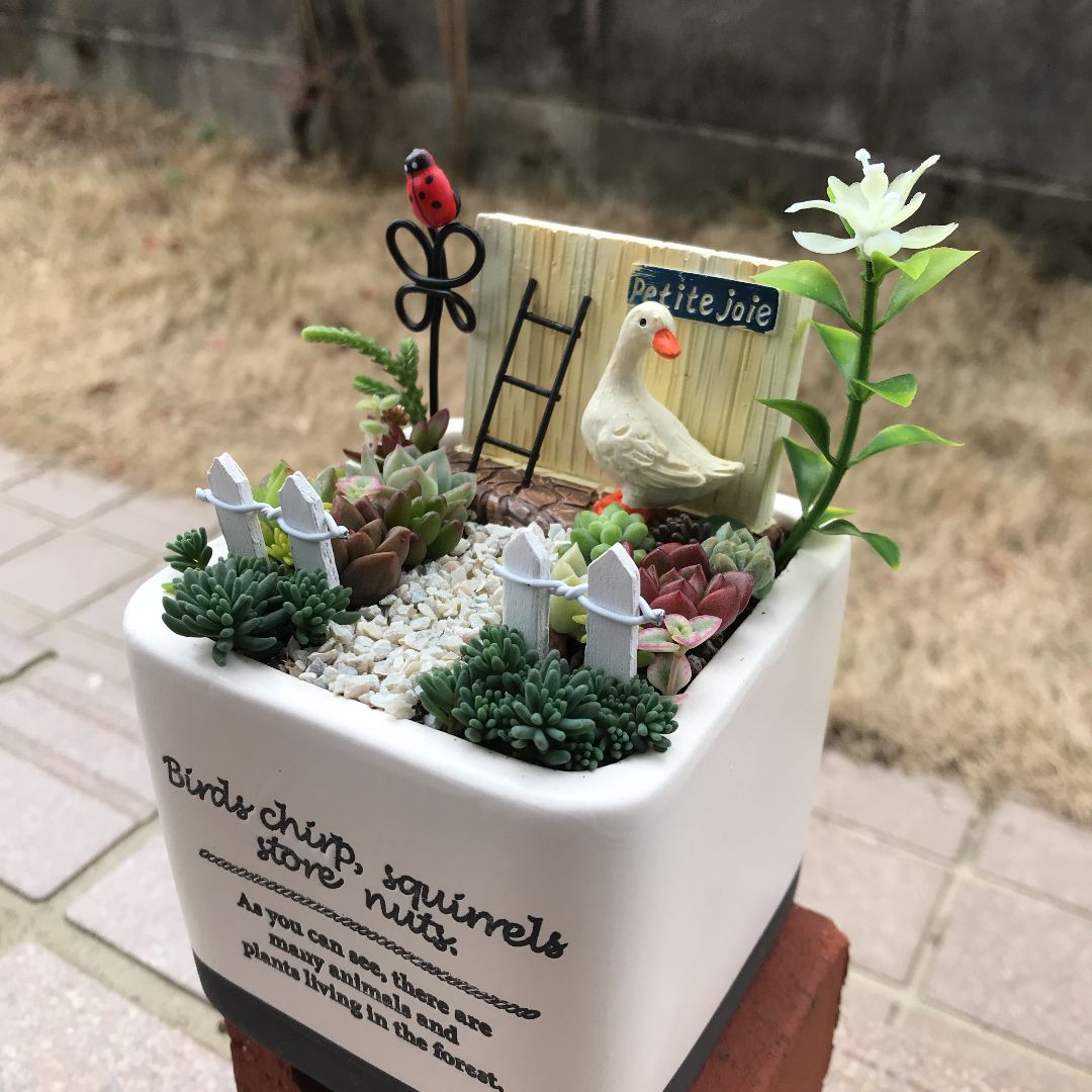 ♡そのまま飾れる♡アヒルちゃんのガーデン♬多肉植物寄せ植え 