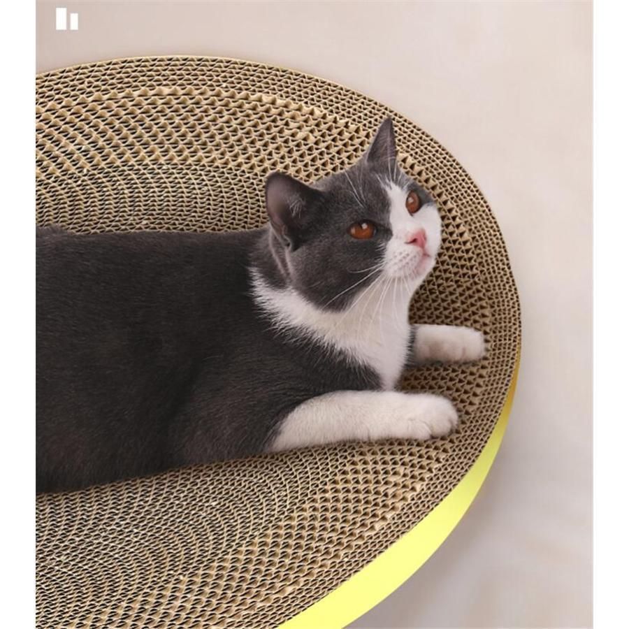 ダンボール ガリガリ