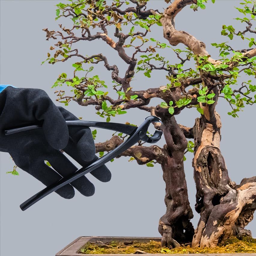 剪定鋏 盆栽カッター