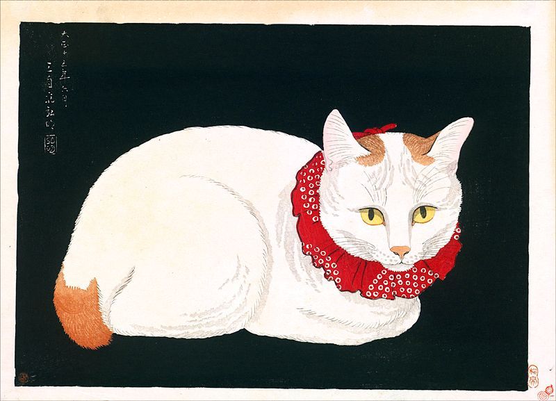 高橋松亭 高橋弘明 白猫 約56×40.2cm 大サイズ 複製ポスター 新版画