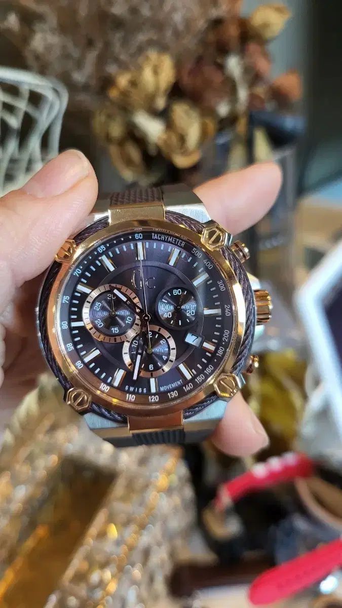 Gc Swiss ムーブメント 男性 時計 ジムの