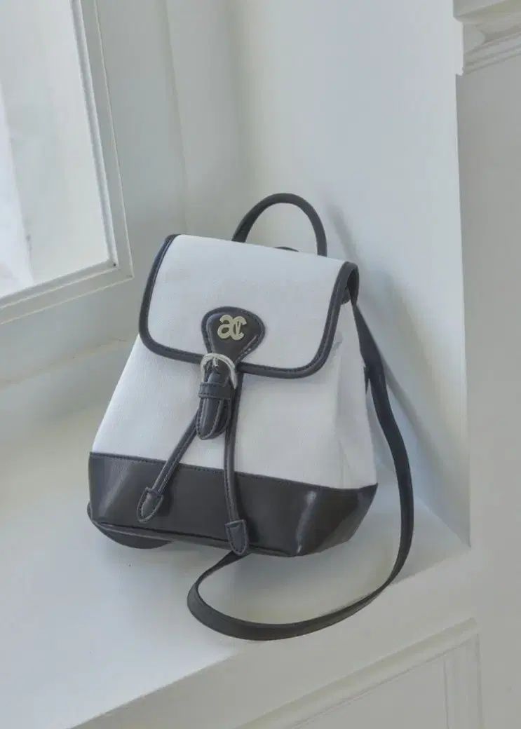 アノエティック ANC solide バックパック