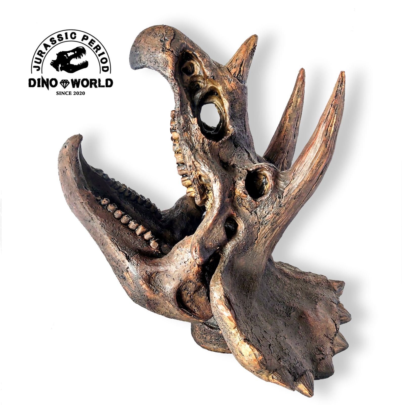 DinoWorld 】 トリケラトプス 頭骨 恐竜の化石 インテリア DinoWorld 】 トリケラトプス 頭骨 恐竜の化石 インテリア