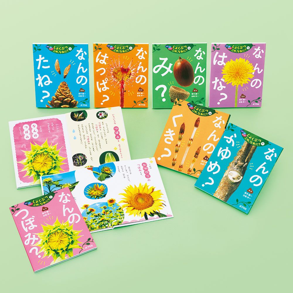 つぼみ・たね・はっぱ・・・しょくぶつ　これ、なあに？（全７巻セット） 図書館用特別堅牢製本図書/ポプラ社/斎木健一（単行本） つぼみ・たね・はっぱ・・・しょくぶつ これ、なあに？（全7巻