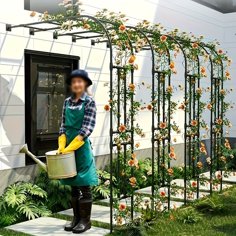 ガーデンアーチ 1pc 半側庭園アーチ 登山植物グリッド トマト カボチャ ズッキーニ グレープ 花用 ステンレスPEコーティング 取り外し 屋外ブラケット 庭の植物サポート 装飾庭園構造 耐久性のある庭の装飾品 庭の装飾 ブラック