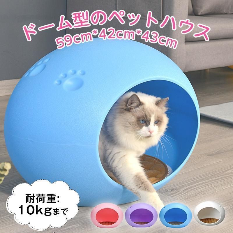 ハウス
