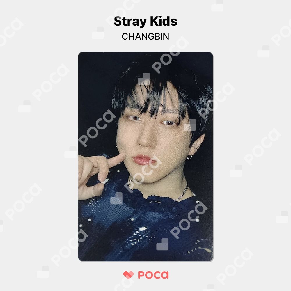 straykids チャンビン スキズ トレカ ATE PLATFORM ALBUM_NEMO