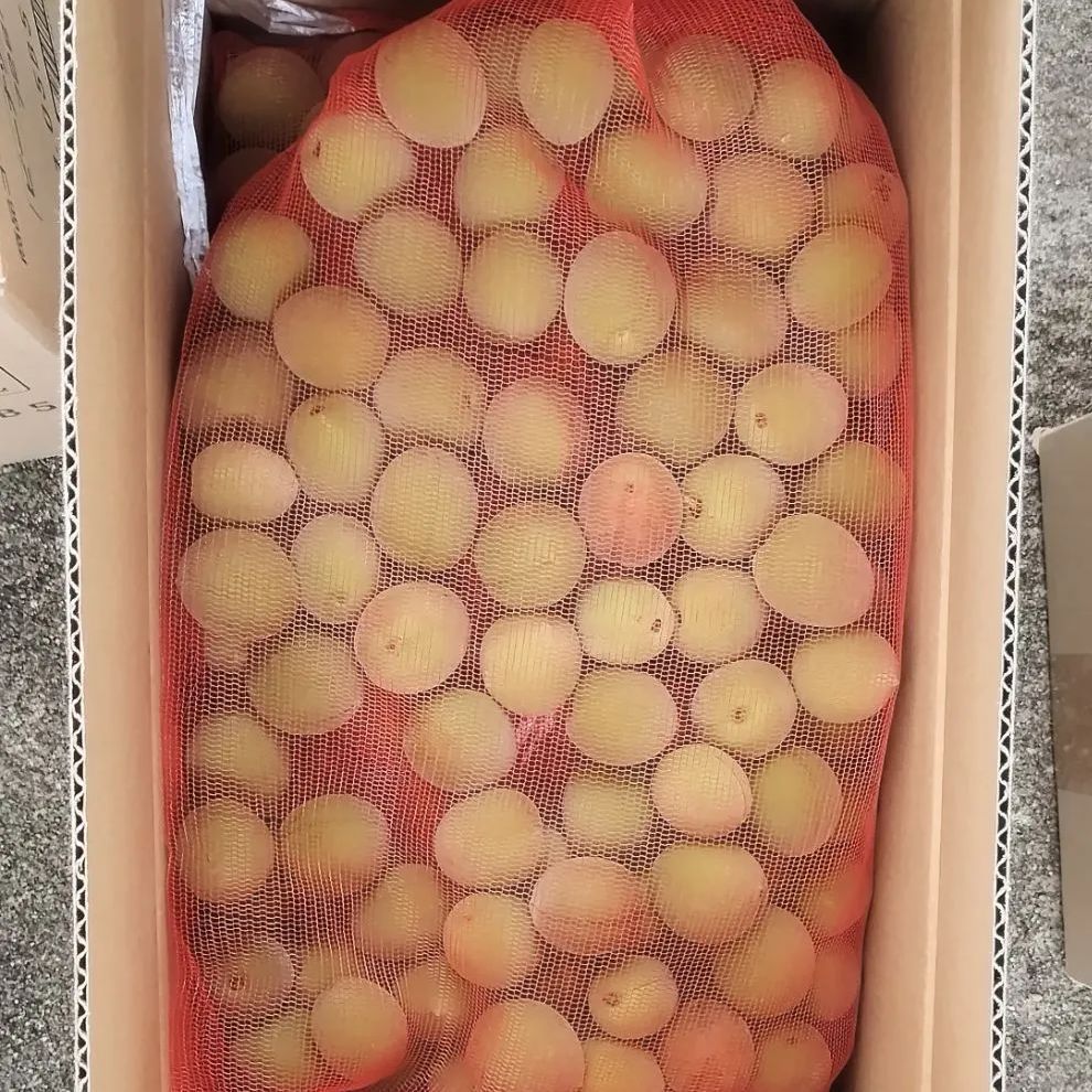 富山稲積梅 4kg