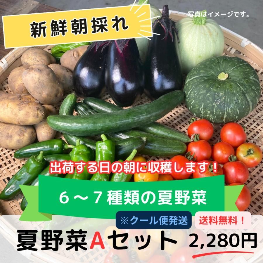 販売スタート 朝採れ夏野菜セット 滋賀県産 農家直送 送料無料 - メルカリ