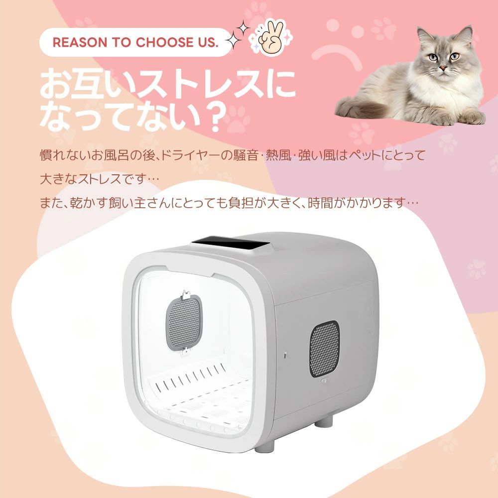ボックス ハウス