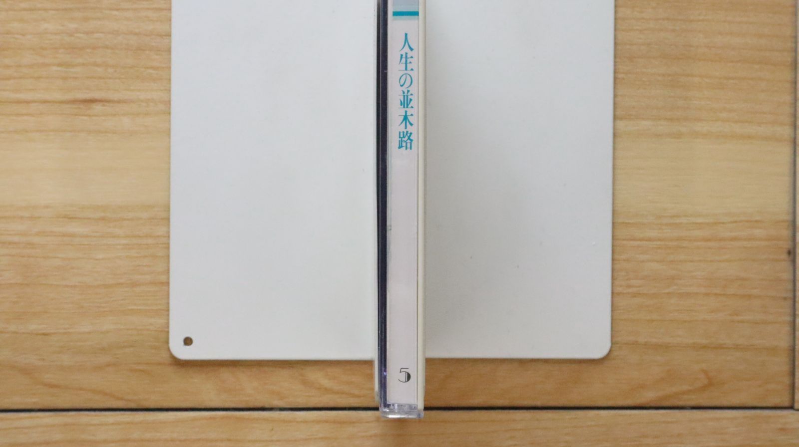 中古 90年代Ｖ系 マイナー オムニバス \"FROM THE FUTURE\" 俳優・永山絢斗の“ヤングタイマー”探訪記第2部「少年探偵団編