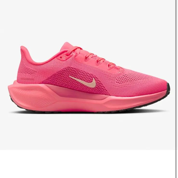 ズーム ペガサス41