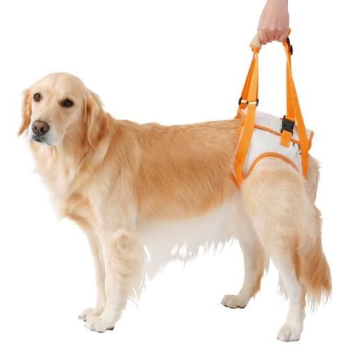 ペティオ Petio 老犬介護用 歩行補助ハーネス 後足用 大型犬用 3L