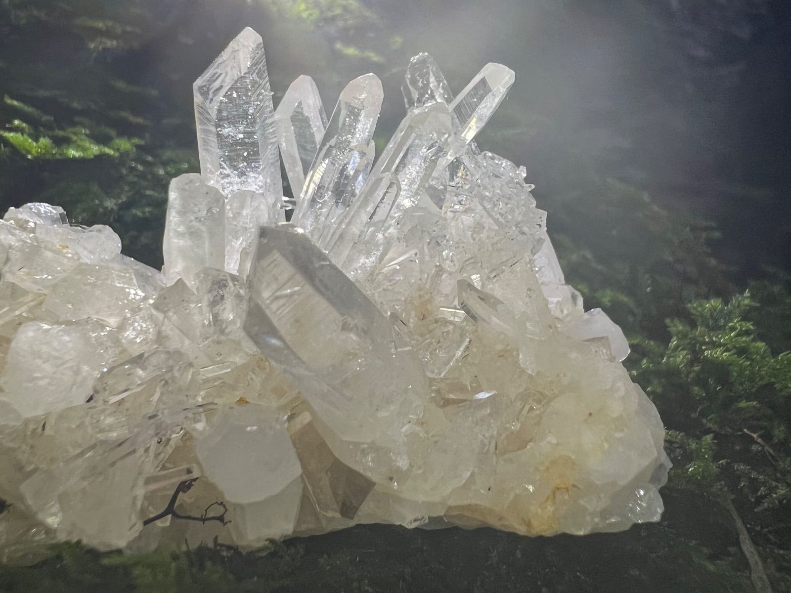 龍脈の精髄 ― 宮崎産 水晶クラスター 聖域を生む調和の結晶 保護猫活動支援