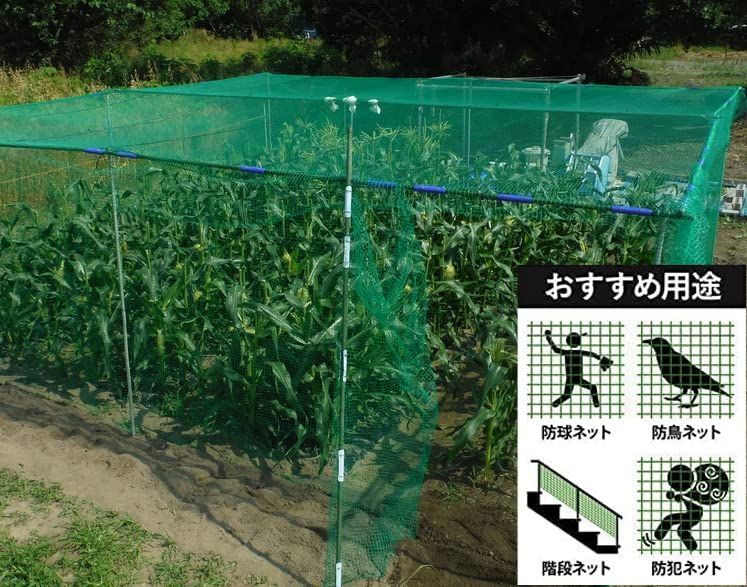 送料無料】PP養生ネット 防鳥ネット グリーンネット 多目的PP養生