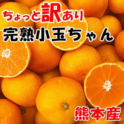 大人気!!熊本県産 小玉みかん 20kg 訳あり小玉みかん 20kg 熊本産 ＊送料無料 - メルカリ