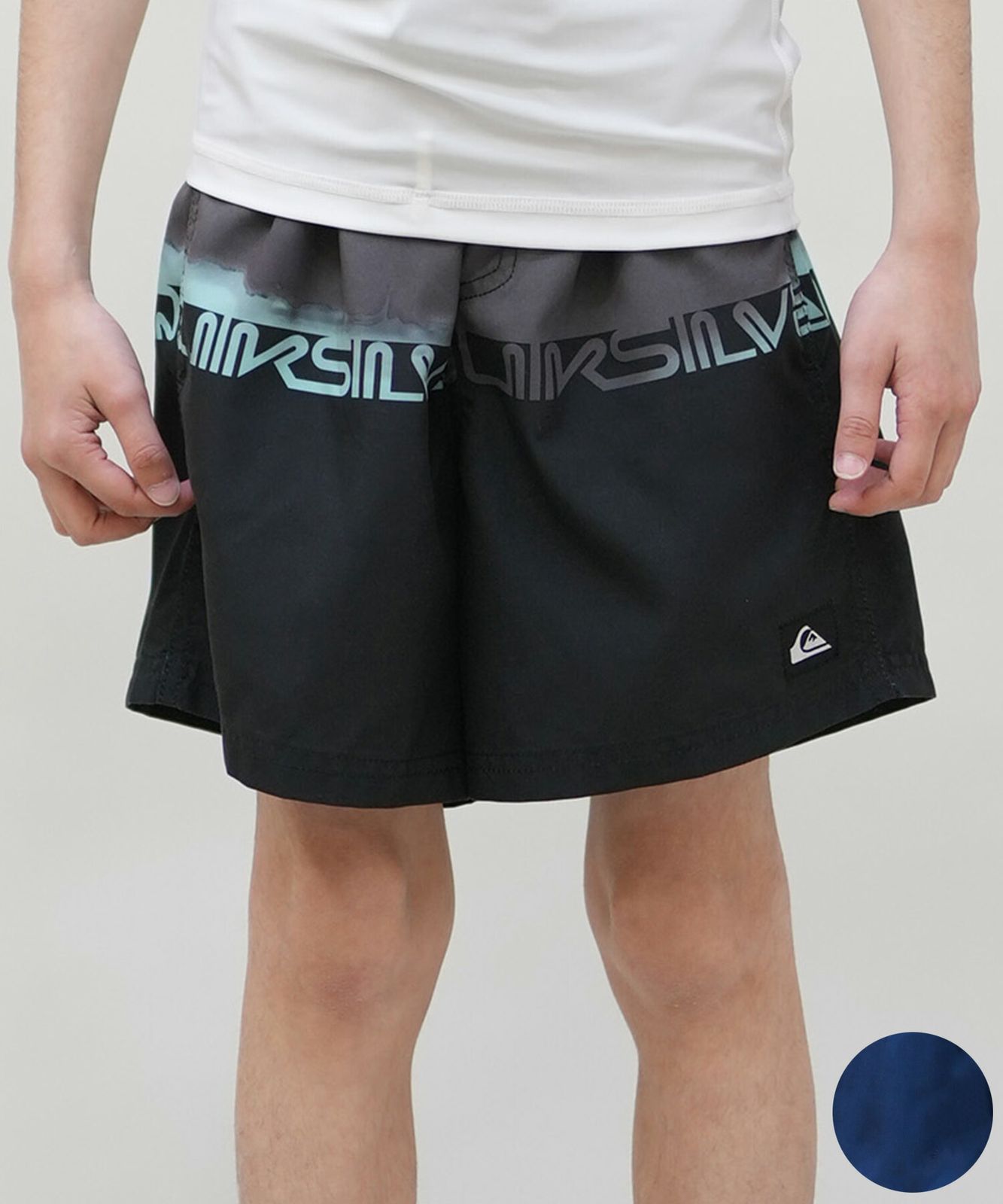 水着 海パン サーフパンツ トランクス QUIKSILVER&frasl;クイックシルバー ボードショーツ 撥水 クイックシルバー 水陸両用 QUIKSILVER 17インチ EQYJV04156 EQYJV04137 19インチ メンズ クイック