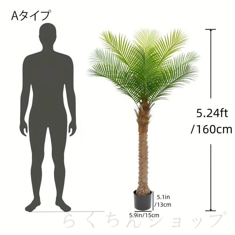 屋内