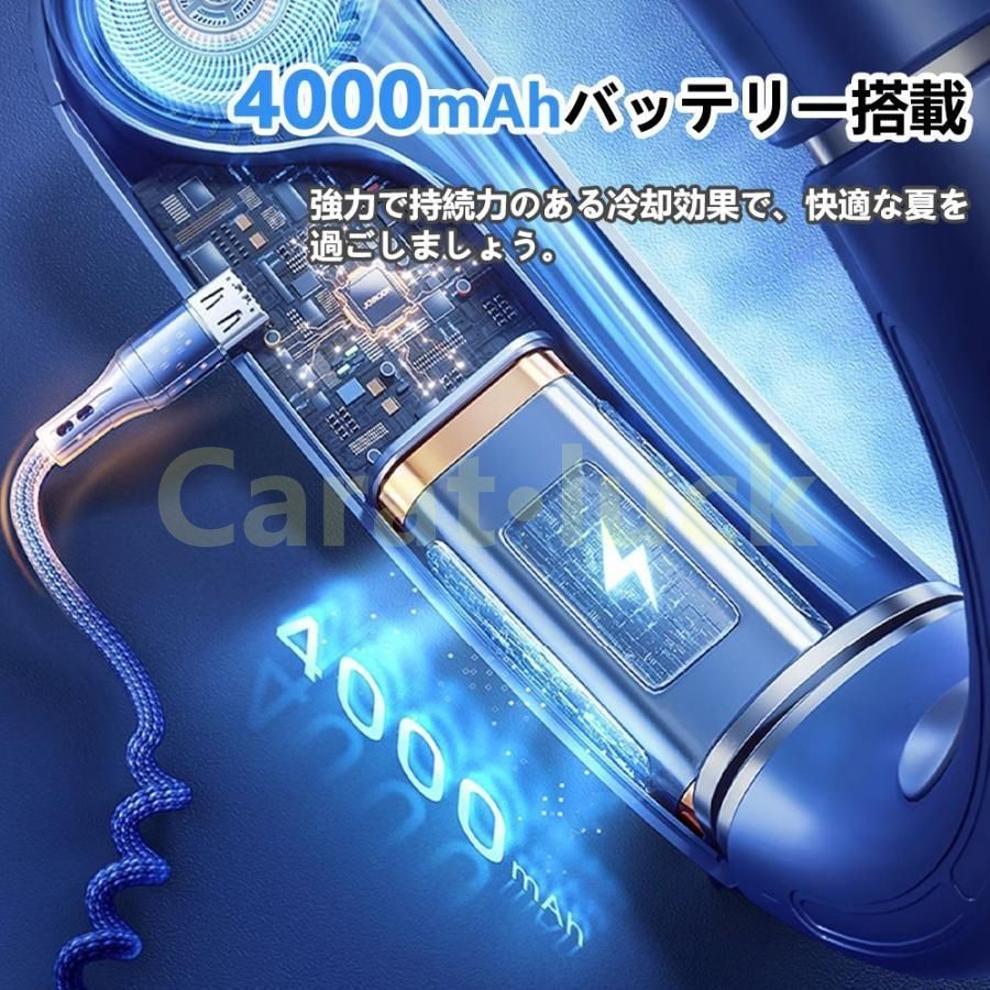 ハンディファン