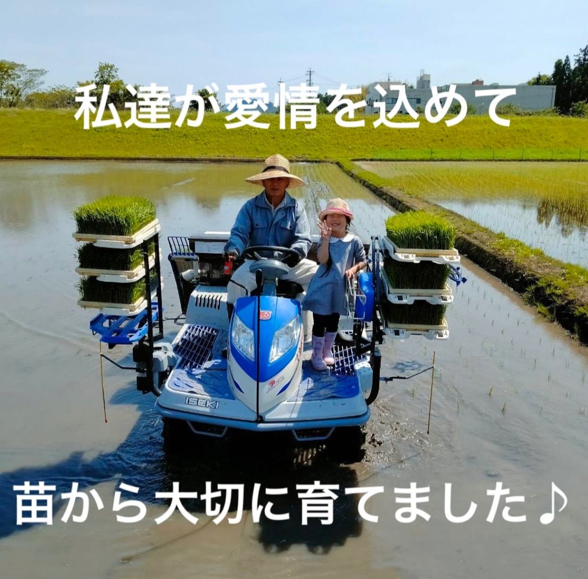 10キロ減農薬