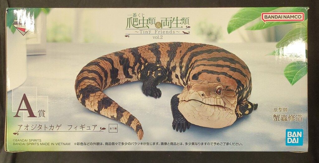 一番くじ 爬虫類＆両生類～Tiny Friends～vol.2 アオジタトカゲ他 一番くじ 爬虫類＆両生類～Tiny Friends～vol.2｜一番くじ倶楽部