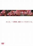 新品未開封　小早川伸木の恋 DVD-BOX Amazon.com: 小早川伸木の恋 DVD-BOX : Movies & TV