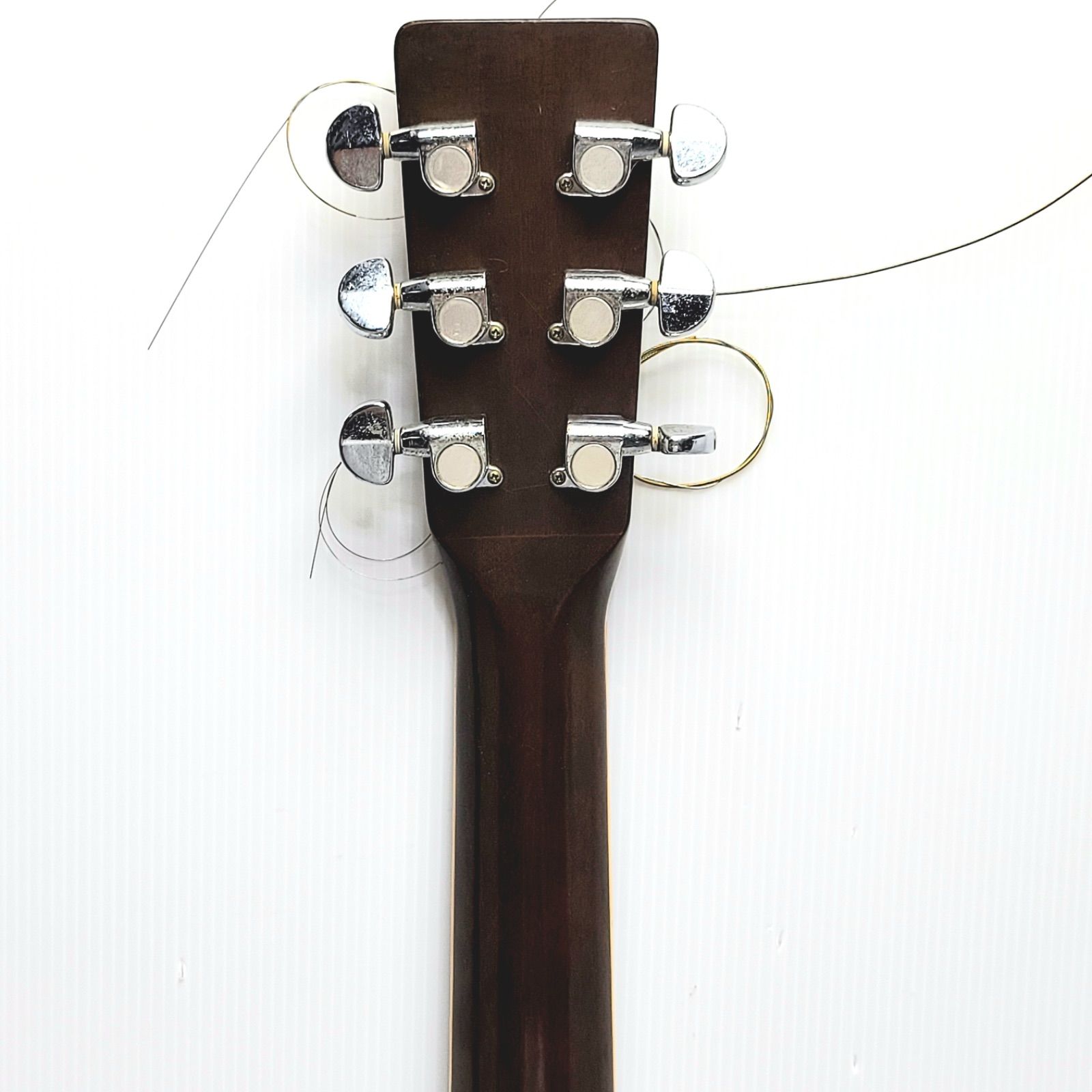 TOKAI GAKKI Cats eyes ヴィンテージ ギター CE-300 - メルカリ