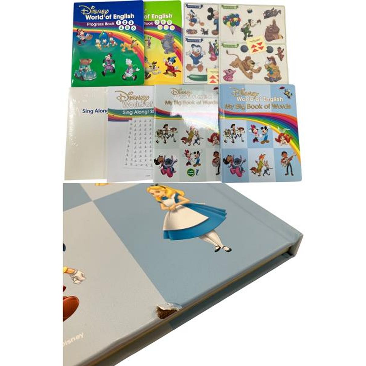 DWE MTDSGAQL ディズニーワールドオブイングリッシュ 2023年頃 子供