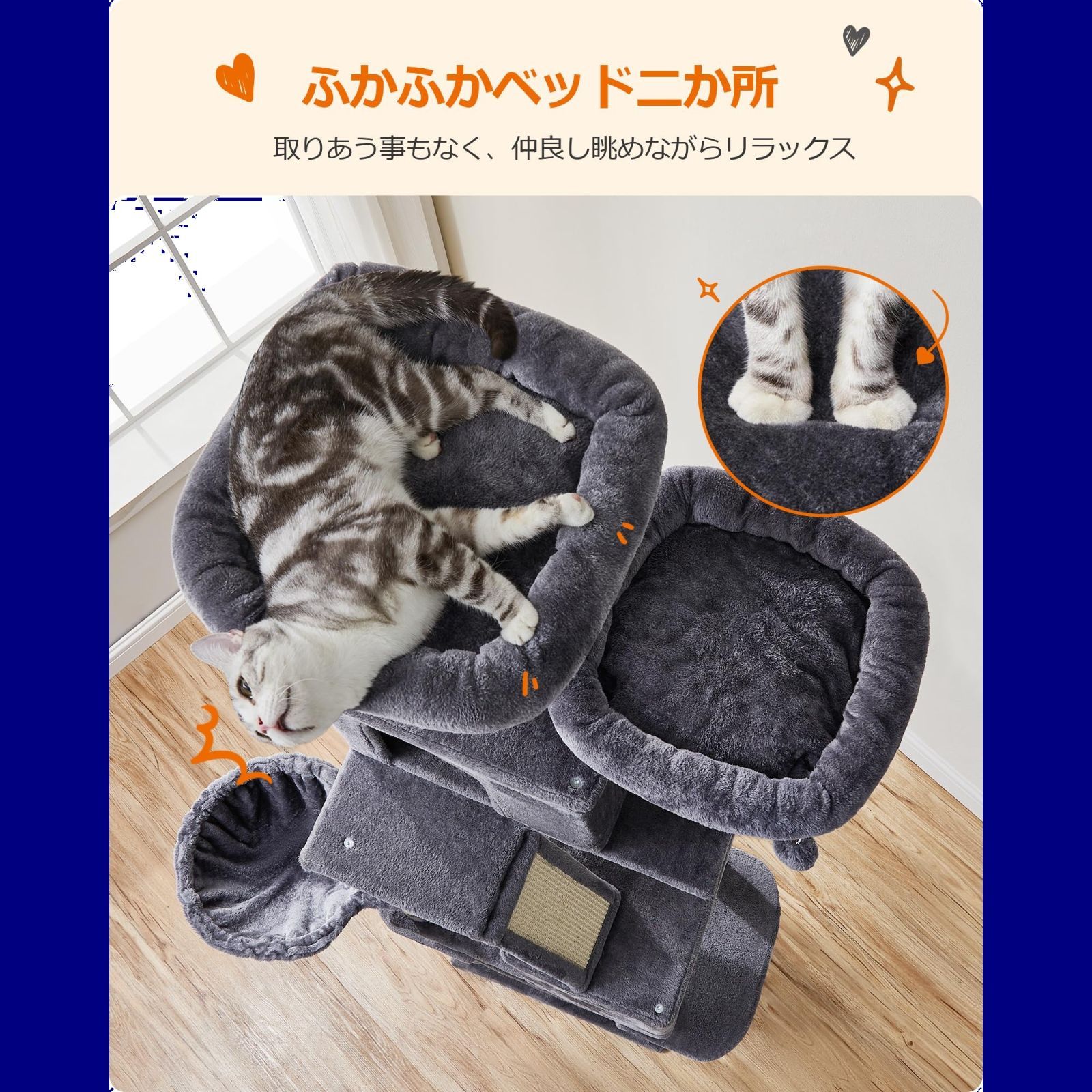 多頭飼い